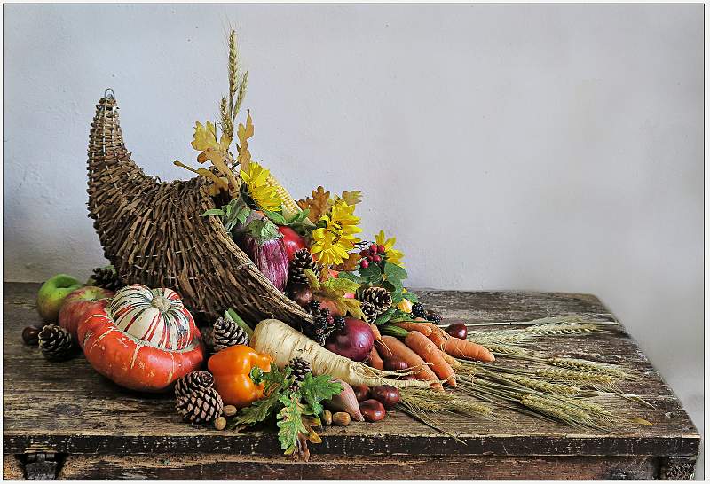 Horn of plenty_Marian Rose_set.jpg -  still life - set                              